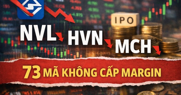 HOSE công bố 73 mã không cấp margin: NVL, HVN, MCH cùng loạt mã mới lên sàn