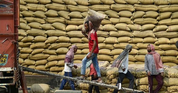 Giá gạo châu Á giảm do nhu cầu suy yếu