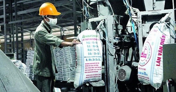 Công ty phân bón 66 năm tuổi bị hủy niêm yết tại HOSE