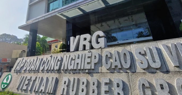 Tập đoàn Cao su bị 'điểm tên' loạt vi phạm, cổ phiếu vẫn lập đỉnh