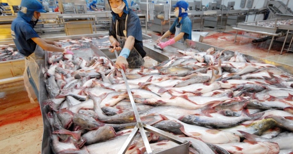 Xuất khẩu nông lâm thủy sản 2 tháng đầu năm 2026 tăng trên 17%