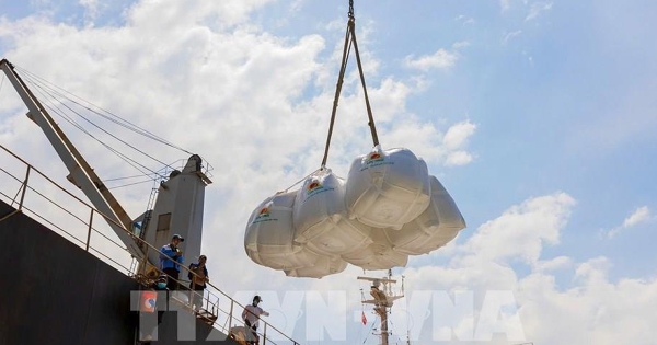 Xuất khẩu gạo tăng 5% về lượng, giá bình quân giảm mạnh