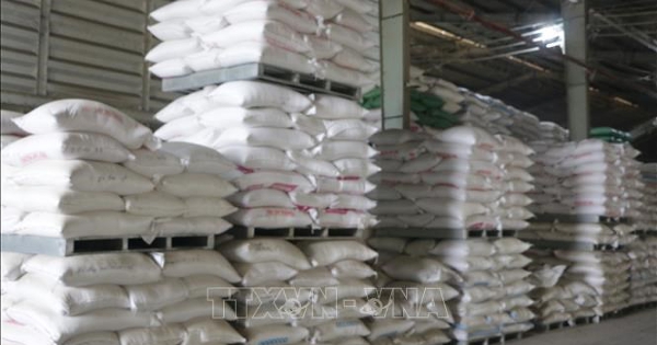 Giá gạo Việt Nam nhích tăng sau vụ Đông Xuân, Ấn Độ duy trì ổn định