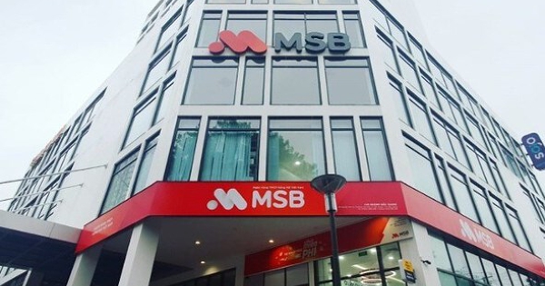 MSB dự chia cổ phiếu thưởng tỷ lệ 20%, tăng trưởng tín dụng 18% trong năm 2026