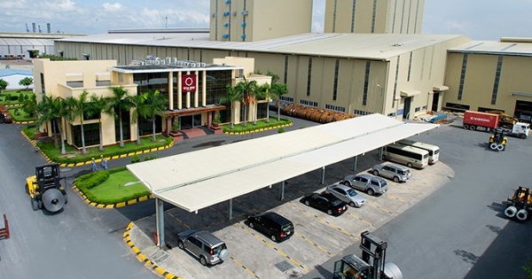 Hoa Sen chốt ngày phát hành 186 triệu cổ phiếu