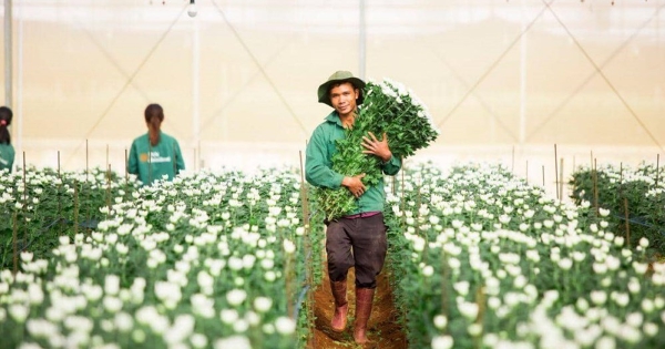 Công ty nông nghiệp của PAN báo lãi 570 tỷ đồng năm 2025