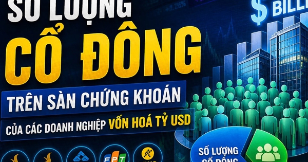 Lượng cổ đông của 56 doanh nghiệp vốn hoá tỷ USD vượt 2,4 triệu, ngân hàng chiếm gần một nửa