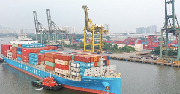 Viconship muốn chào bán 187 triệu cổ phiếu, dùng gần 1.600 tỷ trả nợ