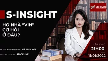 S – Insights #5: Họ VIN – Cơ hội ở đâu? (11/01/2021)