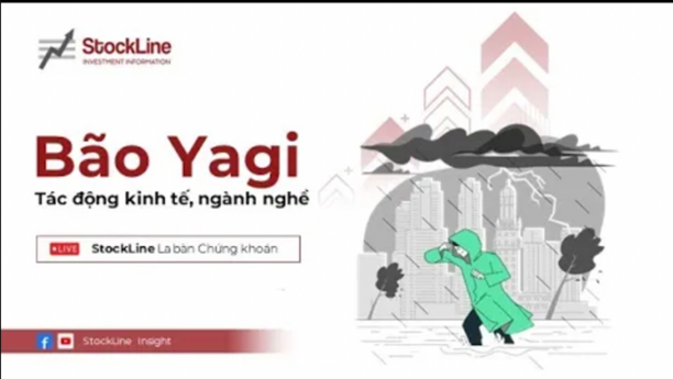 S-Insight #9: Bão Yagi - Tác động kinh tế, ngành nghề, cổ phiếu!