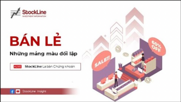 S - Insight 8: Bán lẻ - Những mảng màu đối lập!