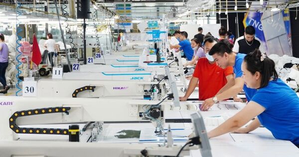 TNG bị xử phạt vì bố làm Chủ tịch, con làm CEO