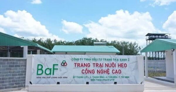 BAF thâu tóm 11 công ty chăn nuôi trong 3 tháng