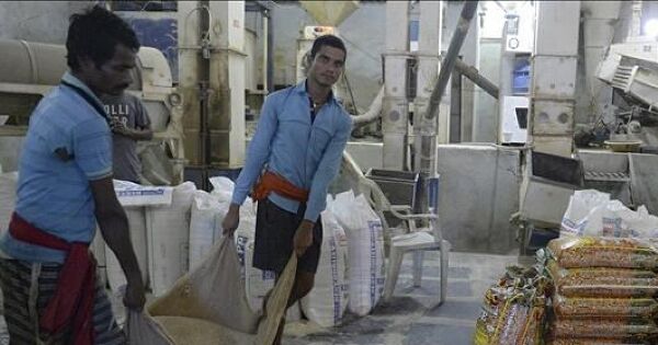 Thị trường nông sản: Giá gạo Ấn Độ chạm 'đáy' của 18 tháng