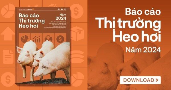 [Báo cáo] Thị trường heo hơi năm 2024: Giá heo hơi tăng hơn 30% trong cả năm