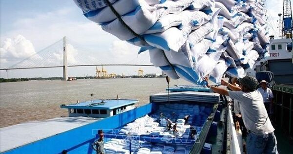 Xuất khẩu gạo của Việt Nam sang Singapore tăng mạnh