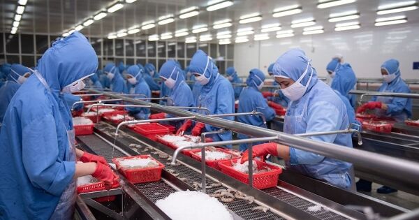 PAN Group lần đầu báo lãi vượt nghìn tỷ nhờ con tôm, con cá
