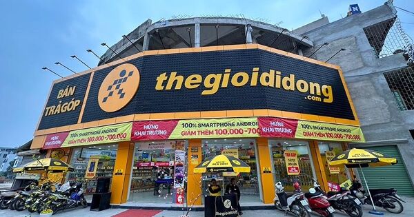 MWG lãi ròng hơn 3.700 tỷ năm 2024, biên lợi nhuận thu hẹp quý cuối năm
