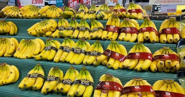 Bầu Đức giúp HAGL trả 20.000 tỷ nợ vay trong 8 năm
