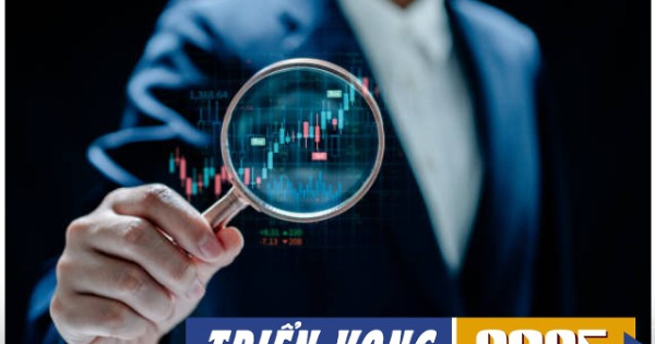 Săn tìm cơ hội đầu tư chứng khoán năm 2025