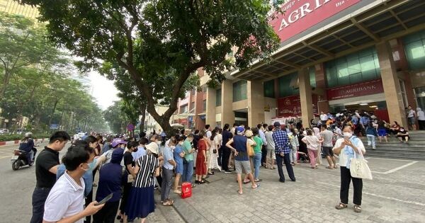 ‘Cơn sốt’ giá vàng 2024 và bài học từ tâm lý FOMO