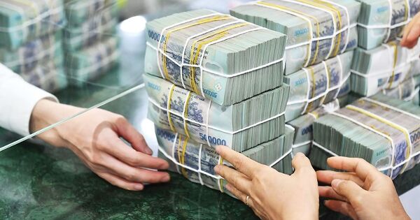 Loạt doanh nghiệp chốt quyền trả cổ tức tuần tới, tỷ lệ cao nhất 100%