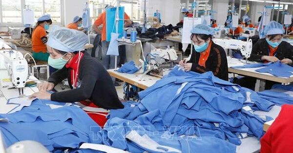 Kinh tế tư nhân trụ cột kiến tạo động lực tăng trưởng mới - Bài 3