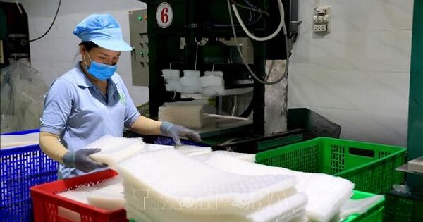 Kinh tế tư nhân trụ cột kiến tạo động lực tăng trưởng mới - Bài cuối