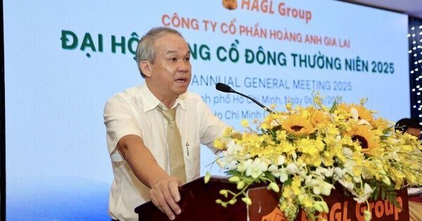 HAGL chuyển 300 tỷ nợ thành vốn góp tại Hưng Thắng Lợi Gia Lai