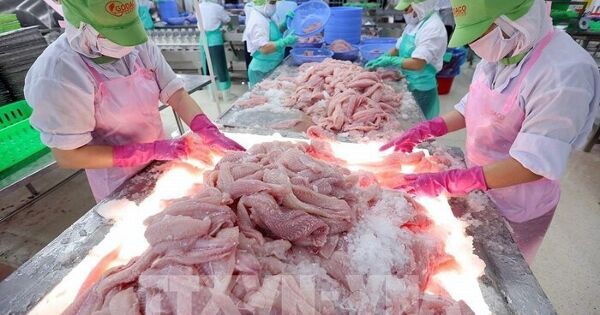 Thủy sản Việt loay hoay tìm về “sân nhà”