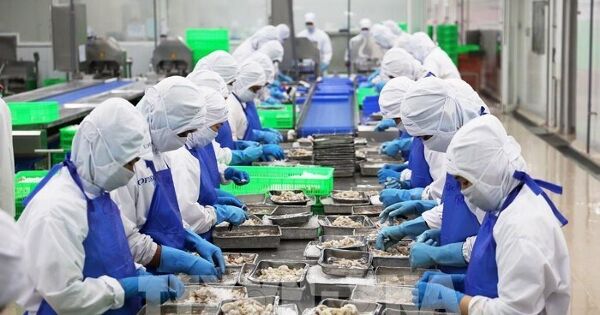 Xuất khẩu thủy sản kỳ vọng cán mốc 11 tỷ USD năm 2025