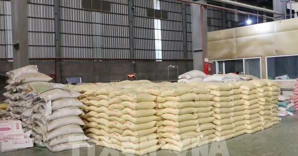 Giá giảm, áp lực tăng, doanh nghiệp gạo Việt chuyển hướng thị trường