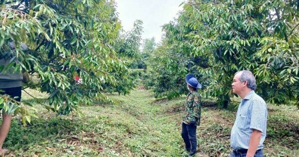 HAGL tiếp tục lãi lớn, sớm vượt 18% kế hoạch năm