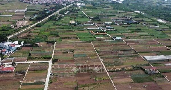 Hoàn thành 4/5 nhiệm vụ làm sạch dữ liệu đất đai