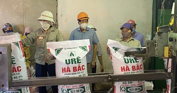 Giá bán urê tăng, vì sao Đạm Hà Bắc vẫn lỗ gần trăm tỷ quý III?