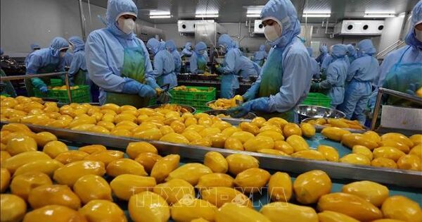 Thu thêm hàng chục tỉ đô nếu nâng tầm giá trị nông sản Việt