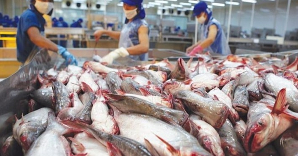 Xuất khẩu thuỷ sản tháng 9 tăng tốc