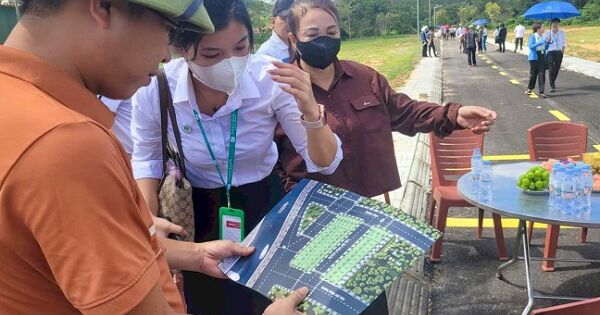 Doanh nghiệp bị phạt hơn nửa tỷ đồng vì tạo 'dự án ảo' tại vùng sốt đất