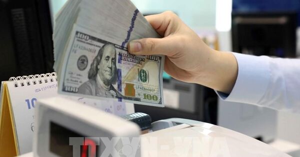 Ngân hàng Nhà nước thông tin liên quan công tác quản lý thị trường ngoại hối