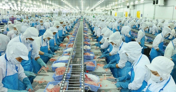 Lợi nhuận Vĩnh Hoàn tăng vọt, tất toán gần hết danh mục chứng khoán