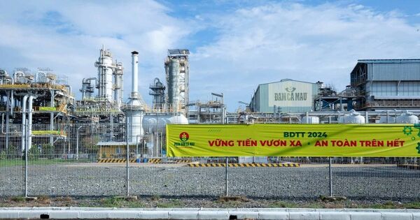 Đạm Cà Mau ước lãi 344 tỷ quý III