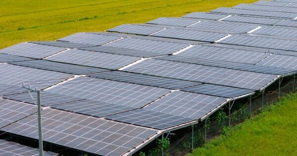 Trang trại lắp điện mặt trời có thể thu lợi nhuận một tỷ đồng mỗi ha