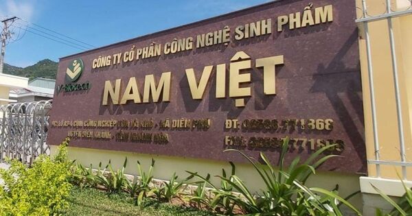 Cổ đông Nam Việt sắp nhận gần 270 tỷ đồng cổ tức tiền mặt