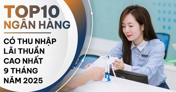 TOP 10 ngân hàng có thu nhập lãi thuần cao nhất 9 tháng đầu năm 2025