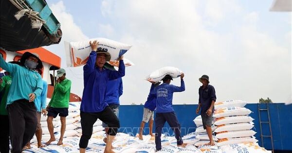 Giá gạo xuất khẩu đi ngang