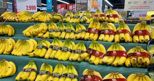 Đường lên sàn của các công ty trong chuỗi cung ứng thực phẩm tại Việt Nam: Đầu vào thênh thang, đầu ra nhỏ hẹp