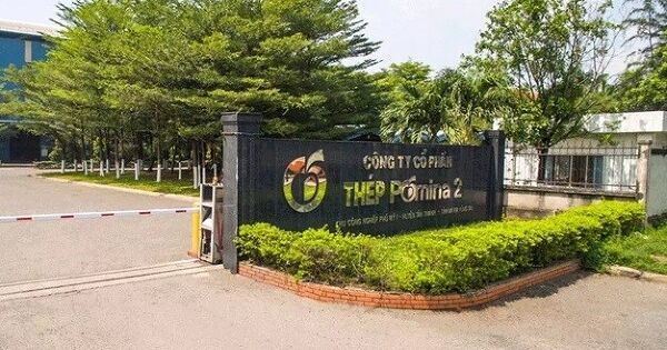 Những lần 'bén duyên' của Pomina