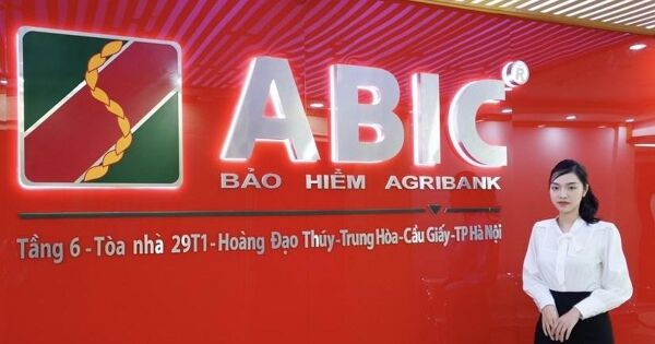 Lộ diện hai ứng viên sắp được bầu vào HĐQT, BKS bảo hiểm ABIC