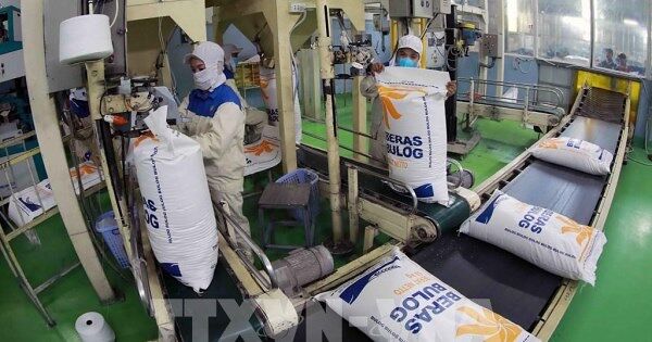 Kỳ vọng năm bứt phá lịch sử của nông sản Việt