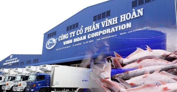 Doanh thu cá tra của Vĩnh Hoàn sụt 19% trong tháng 10